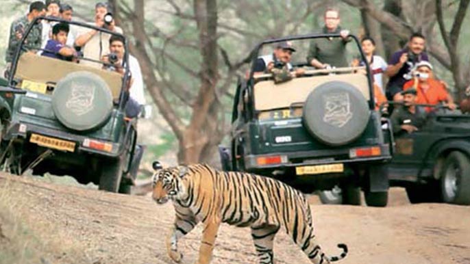golden-triangle-tour-with-ranthambore