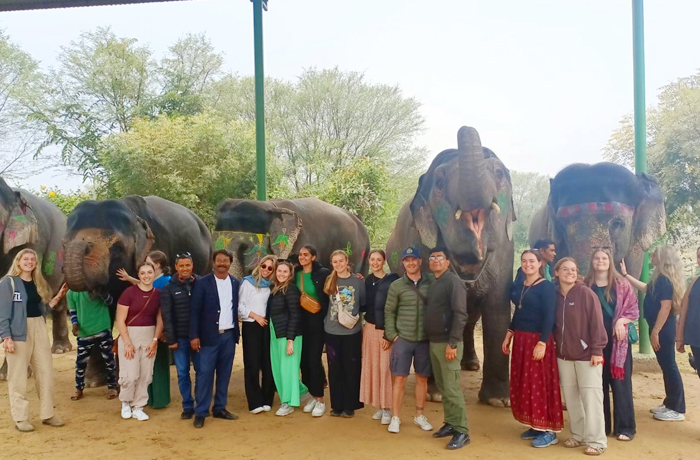 Golden Triangle Tour 5 Days