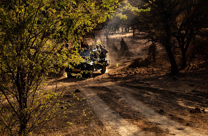 Golden Triangle With Ranthambore