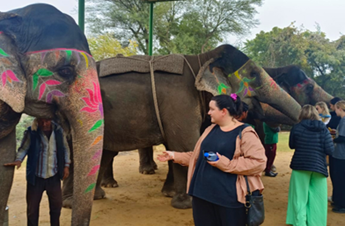 Same Day Jaipur Tour By Train