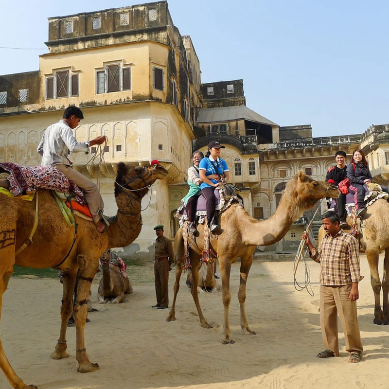 Rajasthan Camel Safari