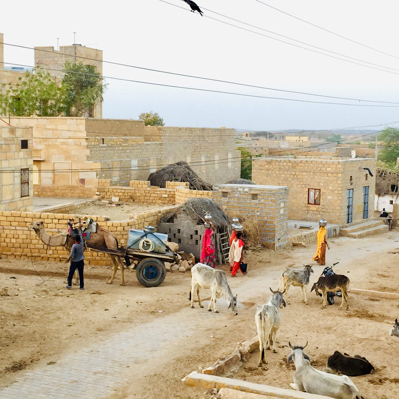 Rajasthan Village Tour